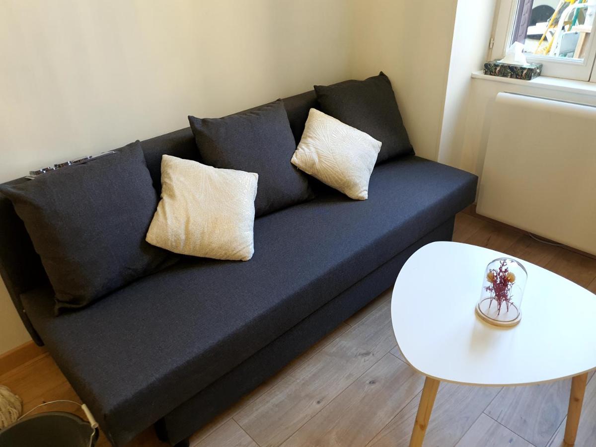 Appartement Cosy Entier, Parking Gratuit Dans La Rue Dijon Exterior photo