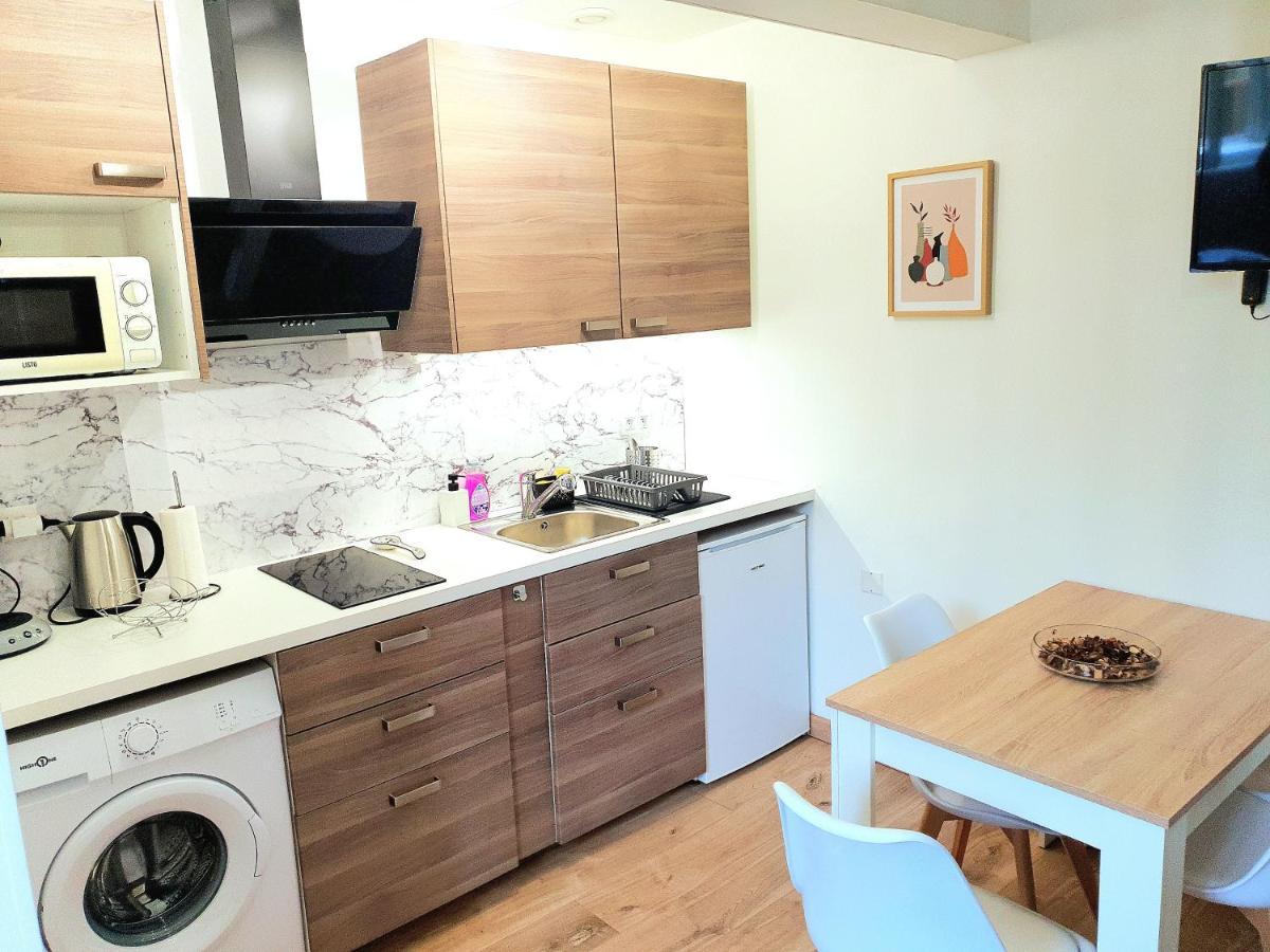 Appartement Cosy Entier, Parking Gratuit Dans La Rue Dijon Exterior photo