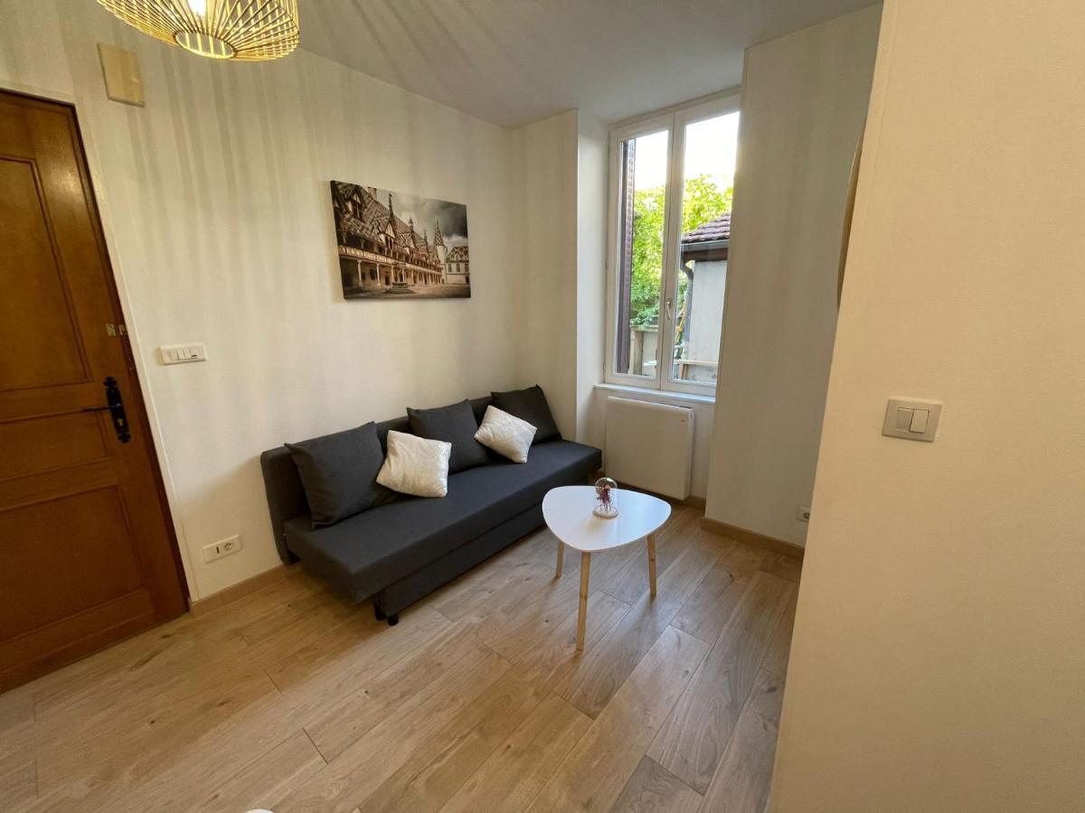 Appartement Cosy Entier, Parking Gratuit Dans La Rue Dijon Exterior photo